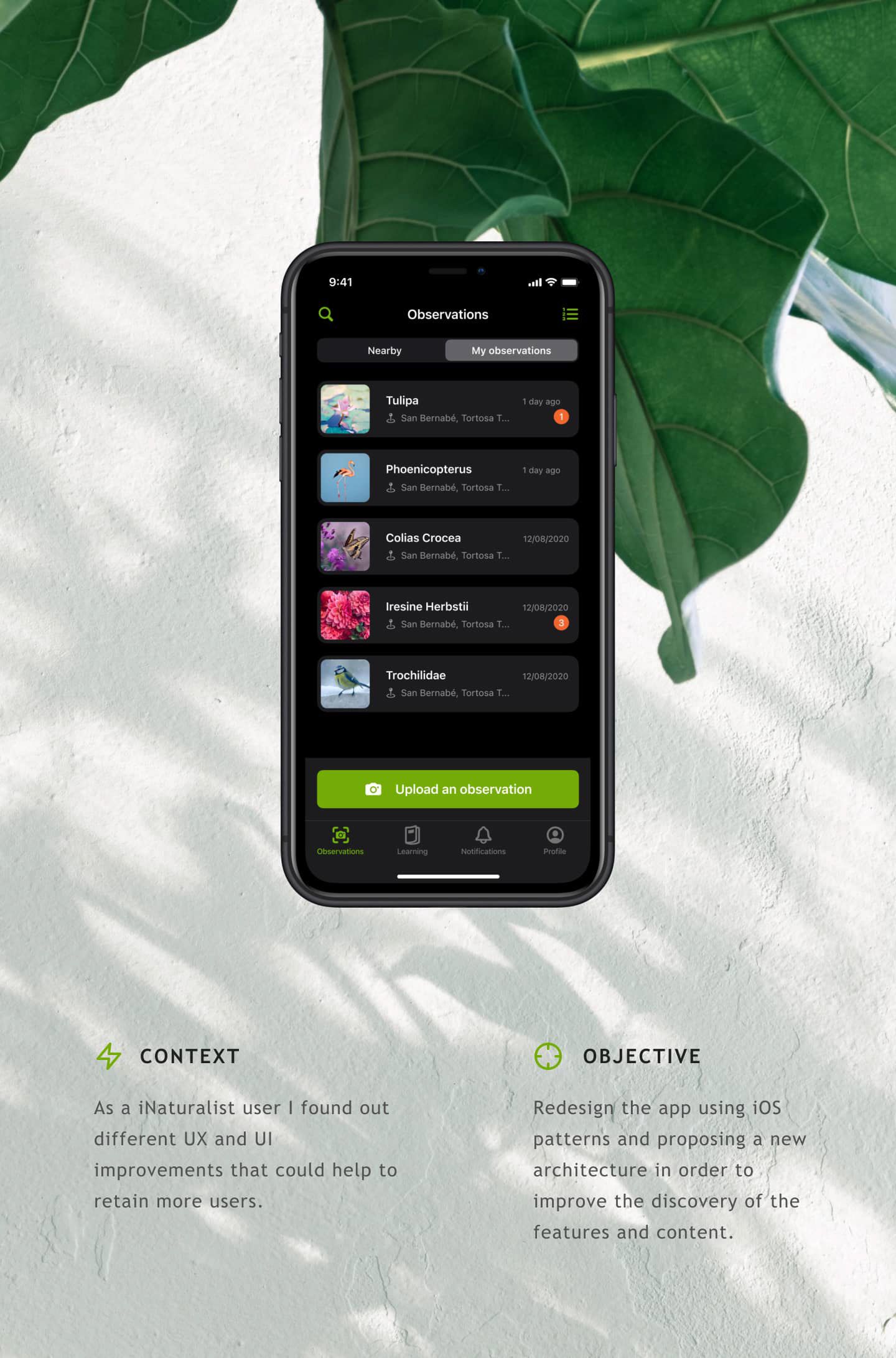 iNaturalist iOS App illustration