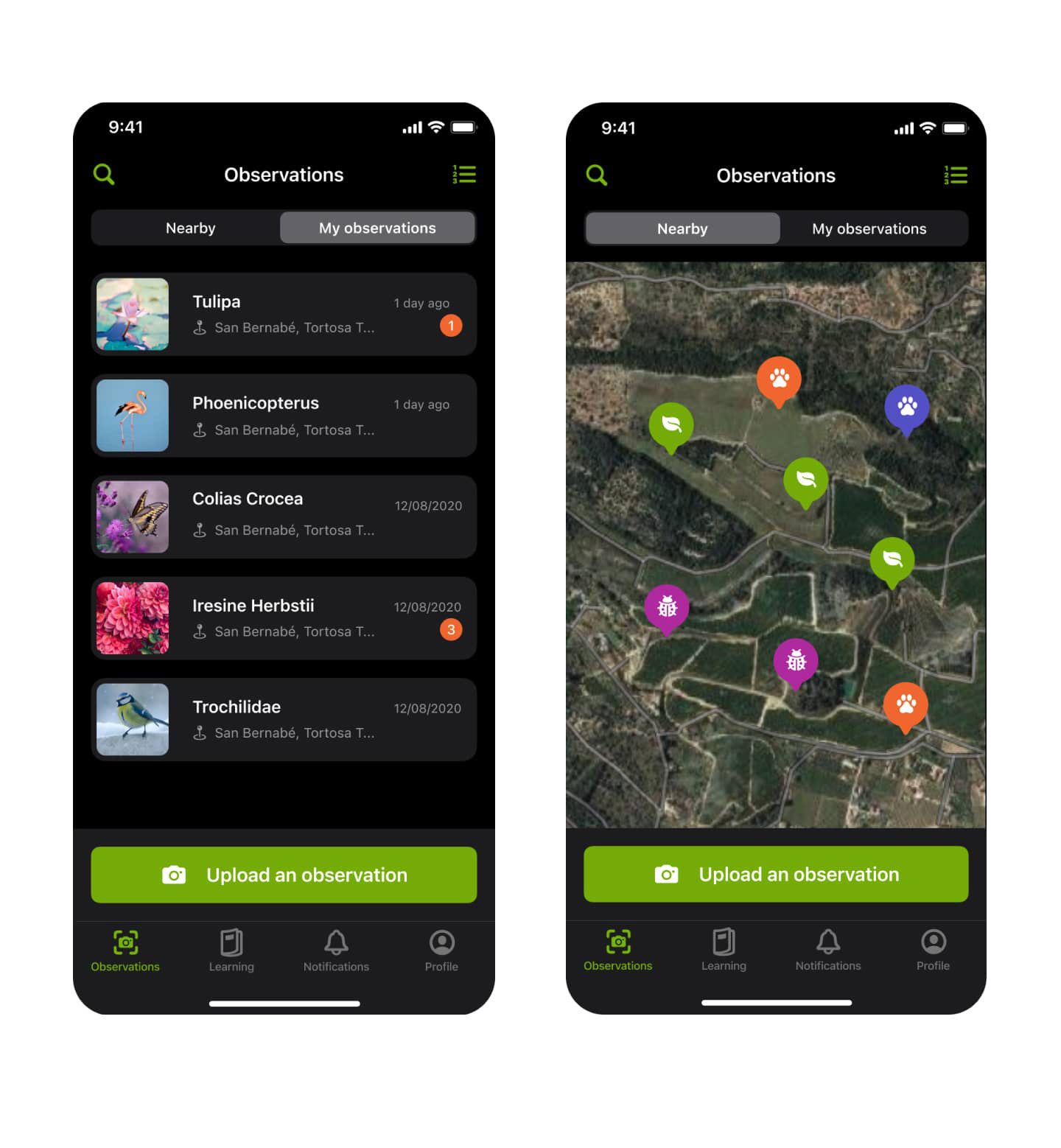 iNaturalist iOS App illustration