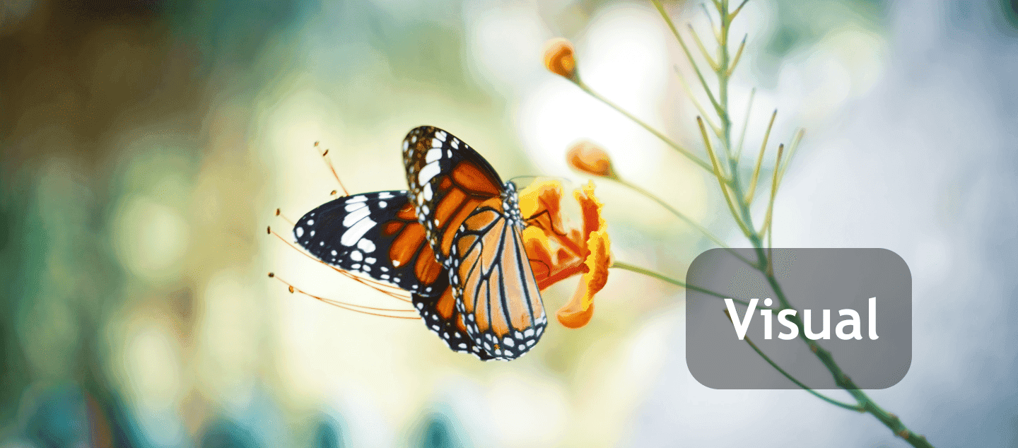 iNaturalist iOS App illustration