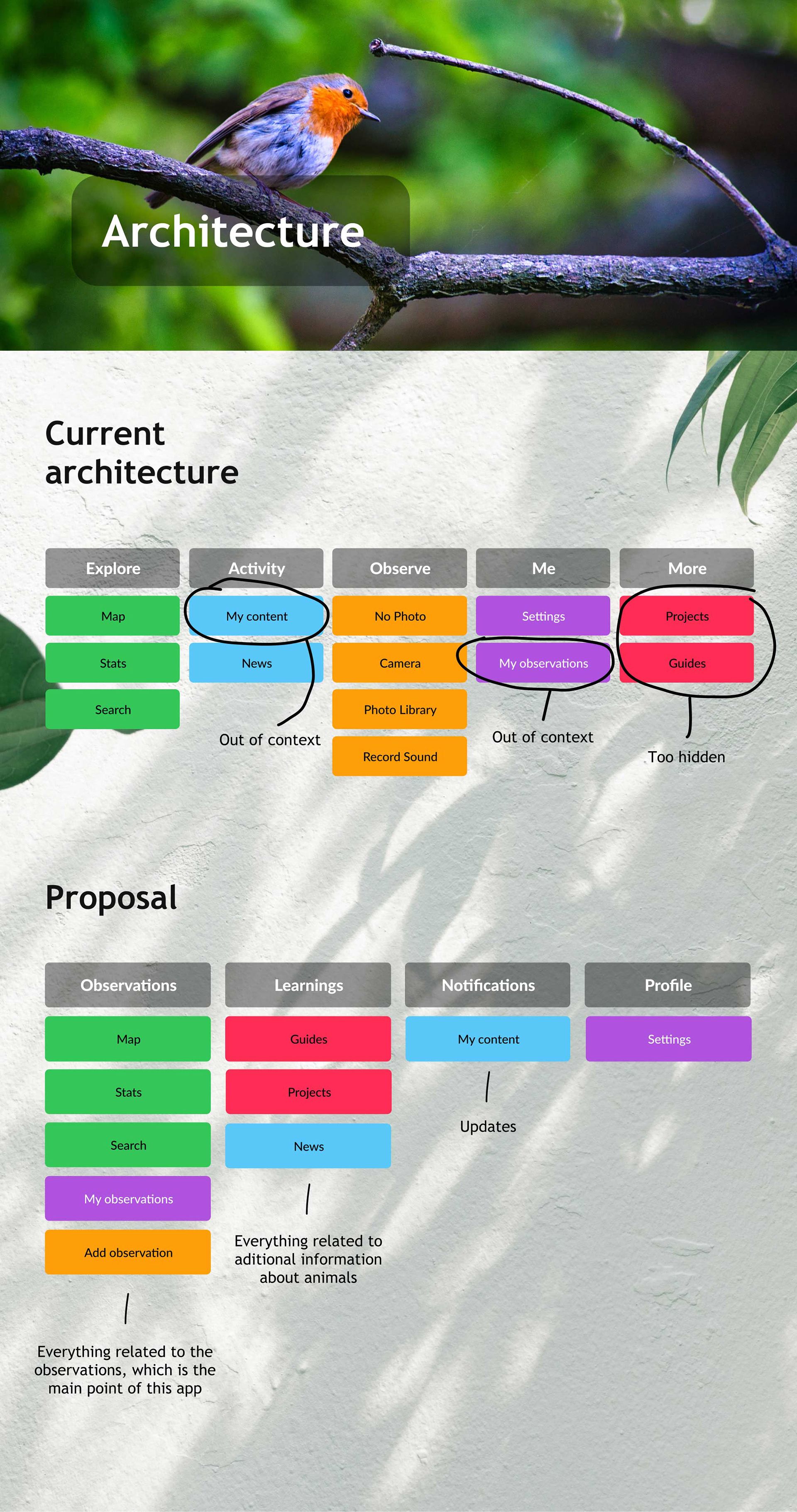 iNaturalist iOS App illustration